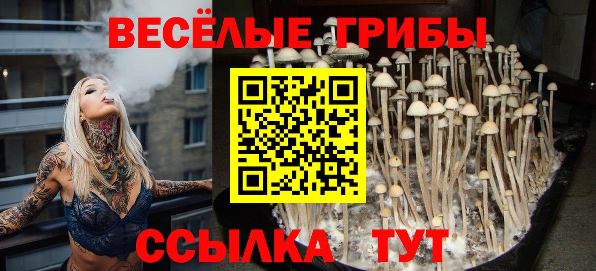 даркнет сайт  Галлюциногенные грибы Magic Shrooms  Вход с VPN  Галлюциногенные грибы ЛСД  Касимов 